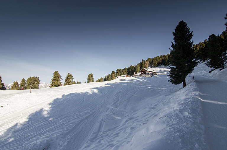 Feldringalm Rodelbahn 2