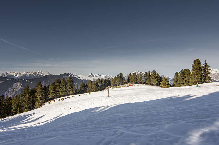 Feldringalm Rodelbahn 3