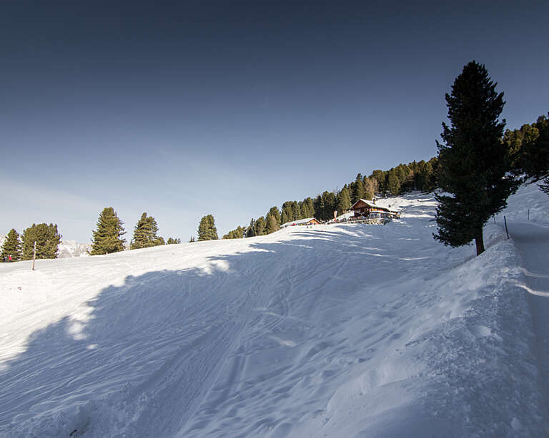 Feldringalm Rodelbahn 2