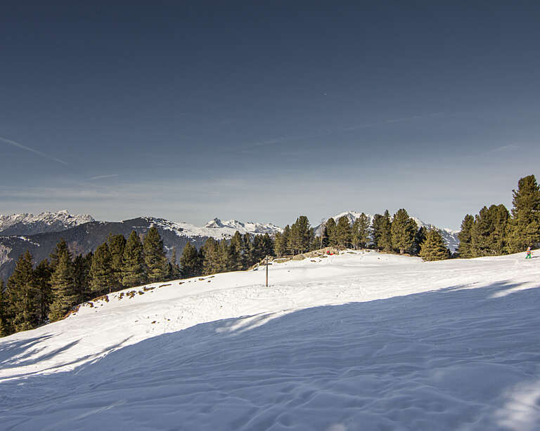 Feldringalm Rodelbahn 3